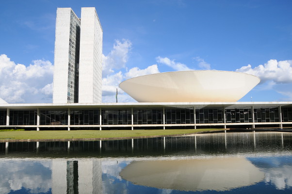 "A responsabilidade das concessionárias de energia elétrica acerca de acidentes envolvendo animais" — Portal da Câmara dos Deputados