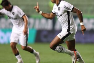 Botafogo conta com Júnior Santos artilheiro para superar América-MG