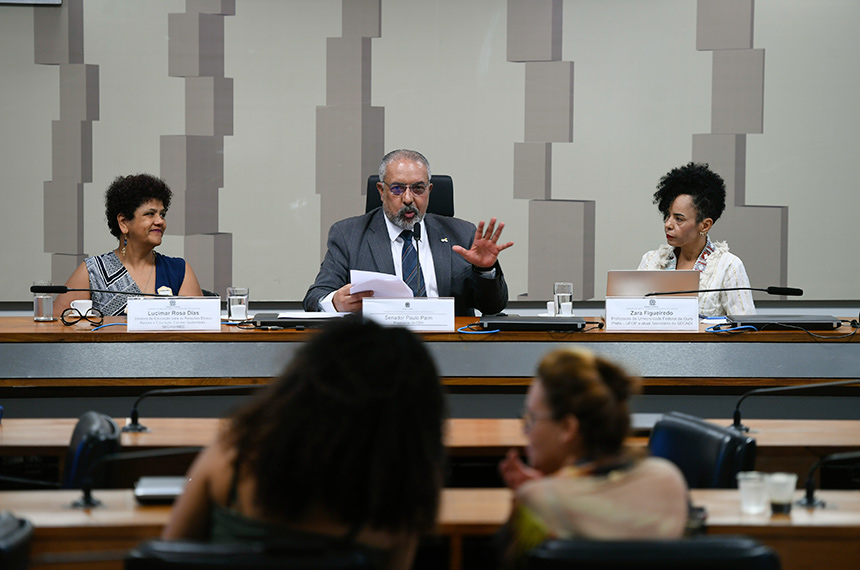 Especialistas pedem cumprimento da lei sobre ensino da cultura afro-brasileira — Senado Notícias