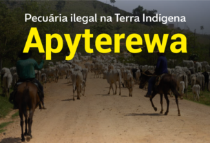 MPF move 48 ações contra responsáveis por venda ilegal de quase 50 mil cabeças de gado em Terra Indígena do PA — Procuradoria da República no Pará