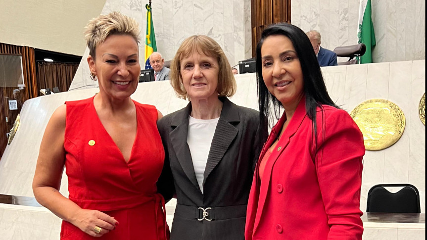 A Audiência é proposta pelas deputadas Luciana Rafagnin (PT), Cloara Pinheiro (PSD) e Cantora Mara Lima (Republicanos) e tem o objetivo de debater políticas públicas para amparar órfãos do feminicídio que necessitam de apoio psicológico e material.