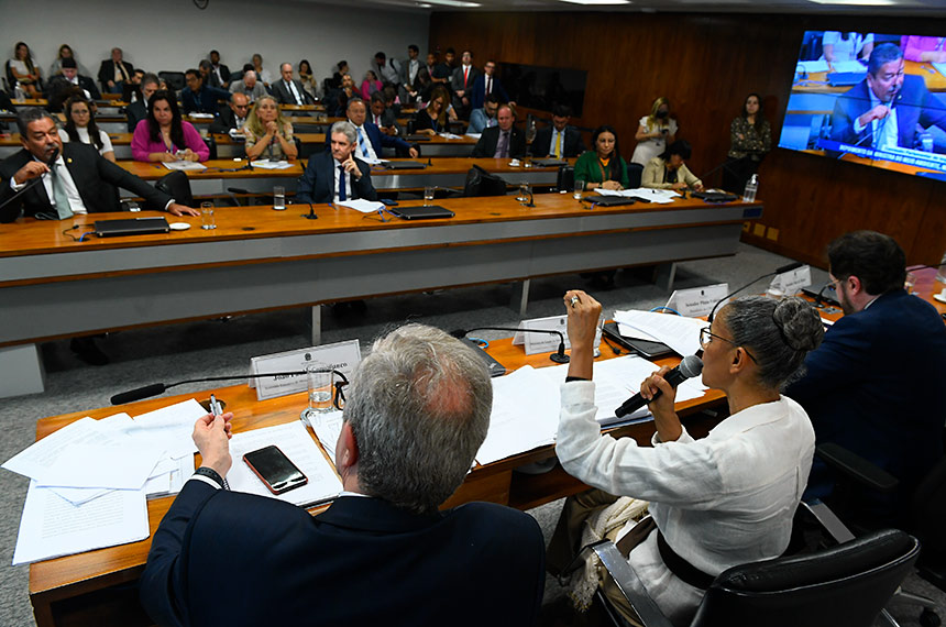 Brasil cobrará recursos na COP-28, diz Marina a senadores — Senado Notícias