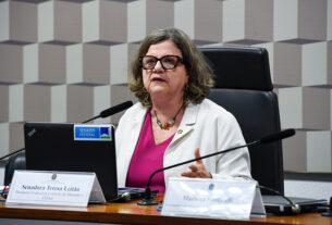 Presidente eventual da CE, senadora Teresa Leitão (PT-PE) conduz audiência.