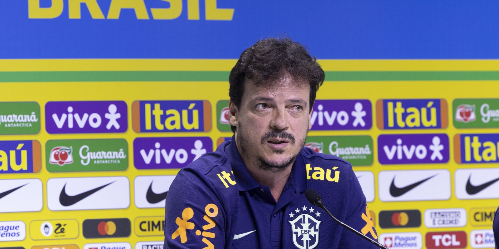 Fernando Diniz convoca seleção para jogos das Eliminatórias