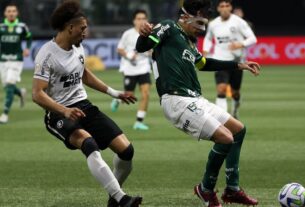 Tentando retomar caminho das vitórias, líder Botafogo recebe Palmeiras