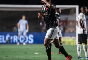 Vasco vence Botafogo por 1 a 0 e deixa Z4 do Brasileiro