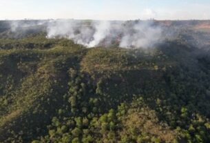 Incêndio atinge divisa do Santuário de Elefantes em Mato Grosso