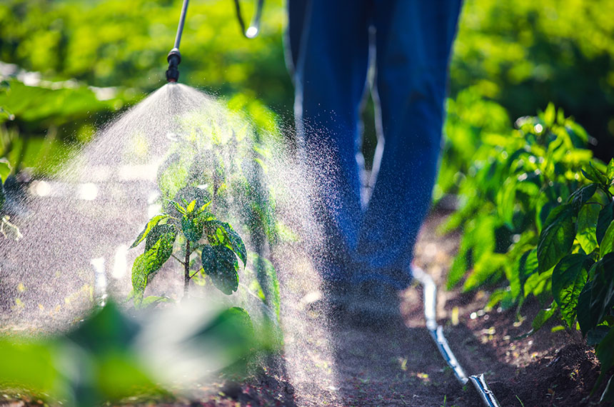 Sancionada nova Lei dos Agrotóxicos com vetos — Senado Notícias