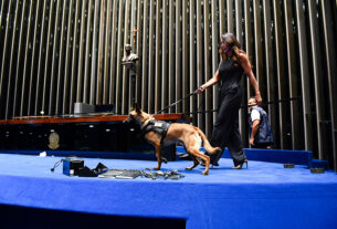 Cão de proteção para vítimas de violência doméstica visita Senado — Senado Notícias