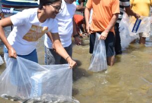 Mutirão solta 150 mil peixes em municípios do Sergipe no fim de semana