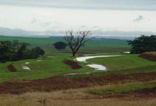 Produtividade: IDR-Paraná discutirá manejo de solos compactados no Show Rural