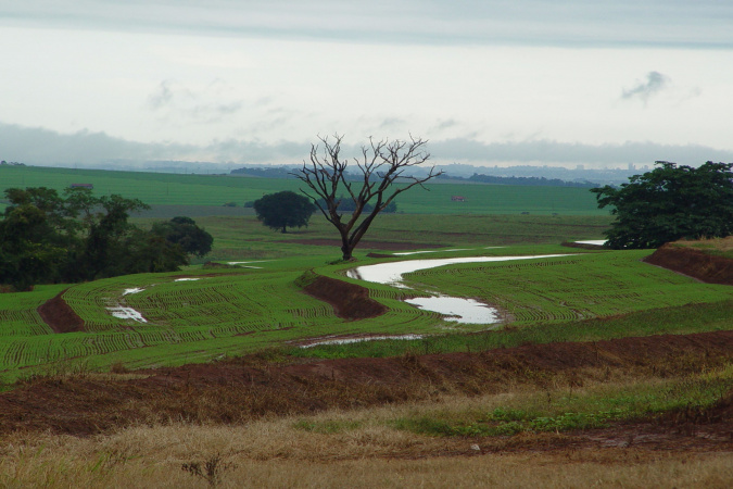 Produtividade: IDR-Paraná discutirá manejo de solos compactados no Show Rural