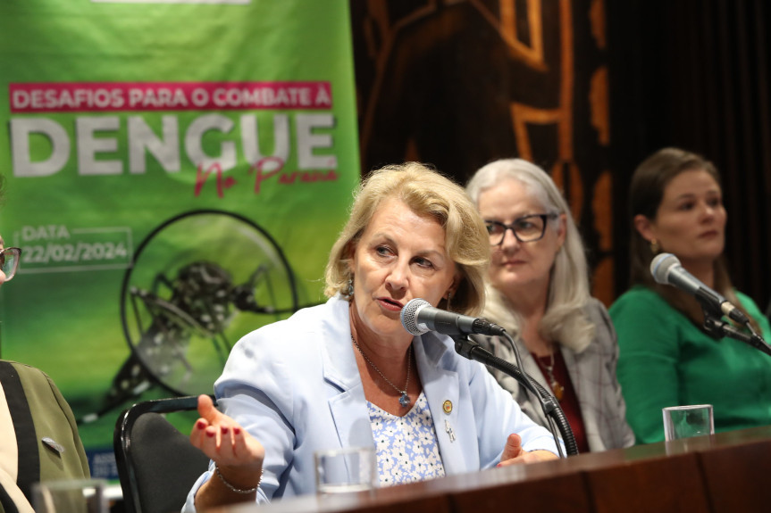 Promovido pela deputada estadual Márcia Huçulak (PSD), o encontro reuniu gestores, especialistas e representantes da sociedade civil para debater o cenário da dengue, cuja incidência é recorde no país neste início de 2023.