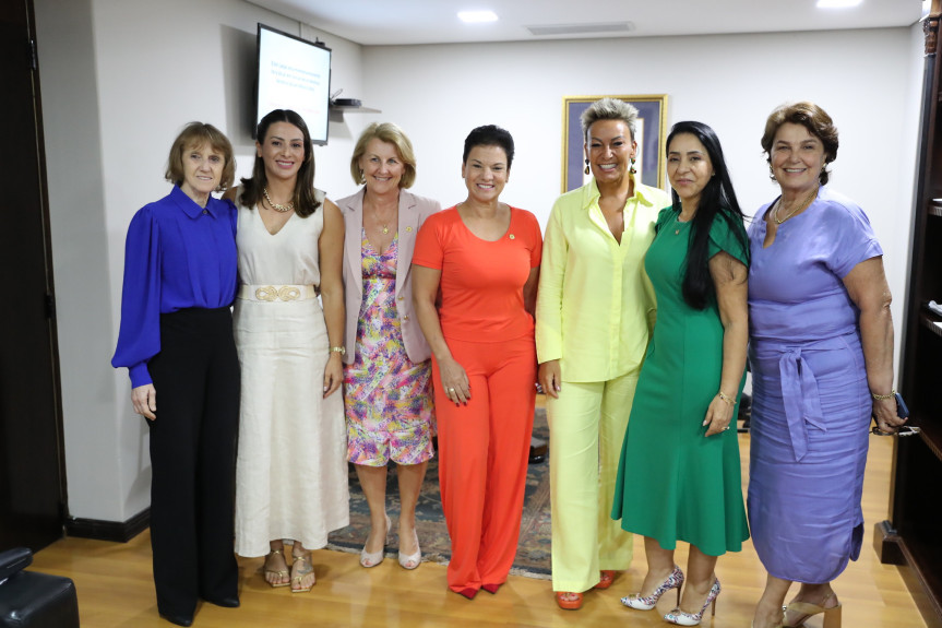 O objetivo é agrupar o conjunto de normas vigentes que interferem na vida das mulheres, de modo a facilitar o acesso por toda população, organizando as leis pela sua pertinência temática, promovendo ainda, se possível e necessário, uma revisão dos dispositivos que serão consolidados.