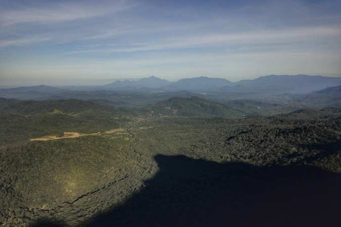 IAT indica redução de 71,5% na área de Mata Atlântica desmatada em 2023