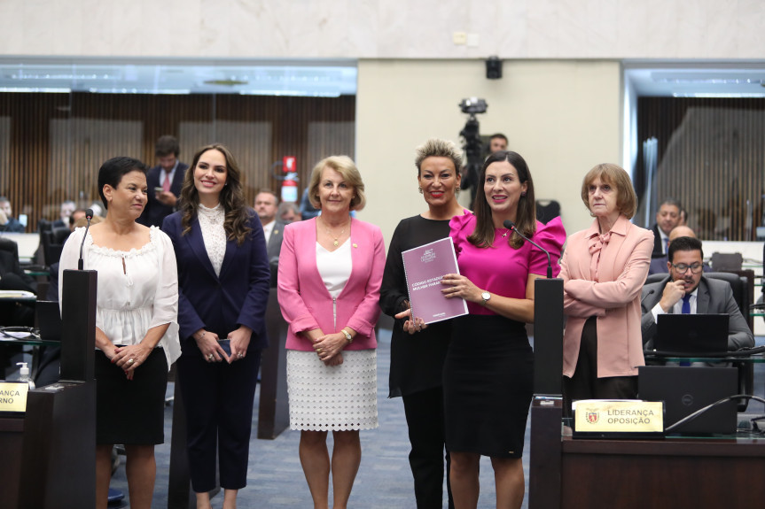 O objetivo foi agrupar o conjunto de normas vigentes que interferem na vida das mulheres, de modo a facilitar o acesso por toda população, organizando as leis pela sua pertinência temática, promovendo ainda, se possível e necessário, uma revisão dos dispositivos sobre os mais diversos assuntos.