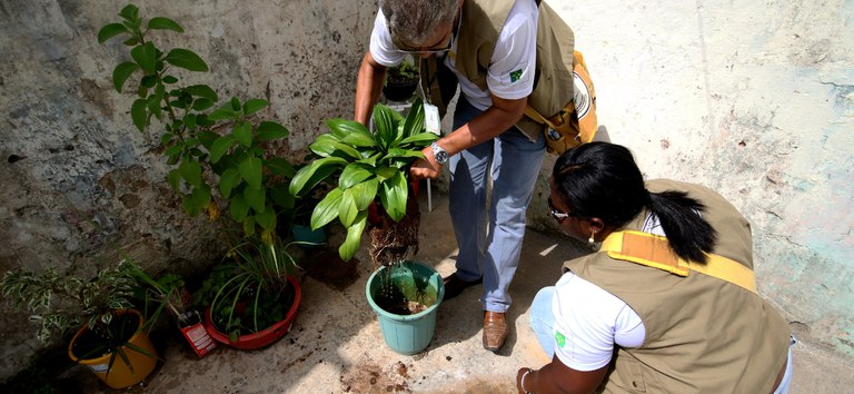 É hoje! Ministério da Saúde realiza Dia D de combate à dengue neste sábado (2) — Agência Gov