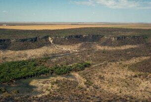 Governo monta força-tarefa para conter desmatamento no Cerrado