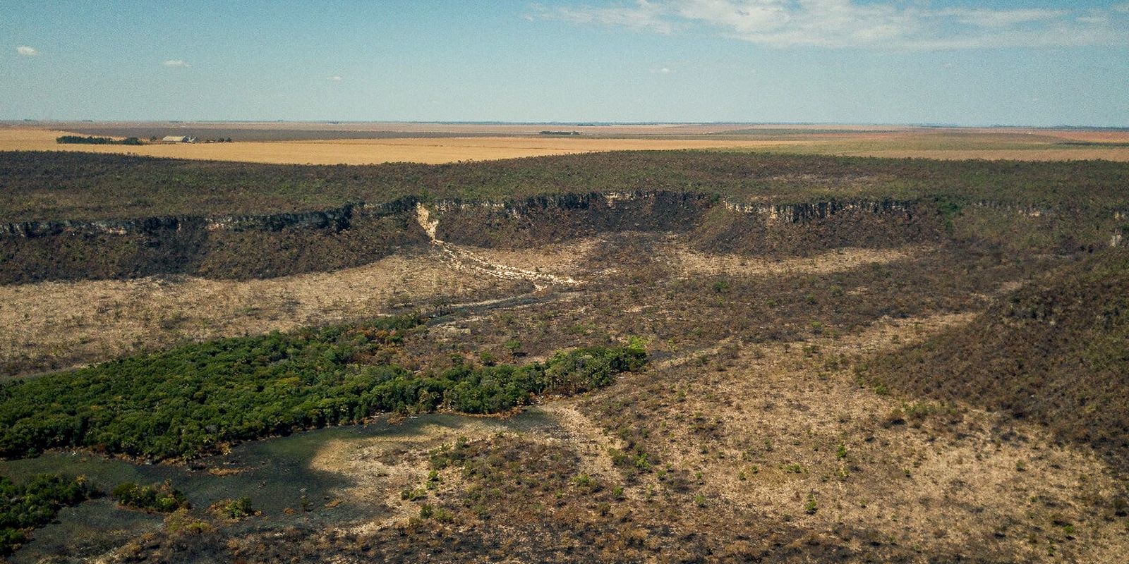 Governo monta força-tarefa para conter desmatamento no Cerrado