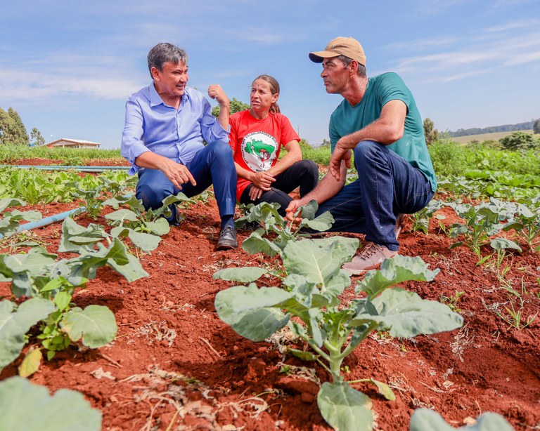 MDS anuncia parceria para incluir 2.500 famílias no Programa Fomento Rural — Agência Gov