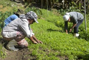 Rotas de Integração Nacional impulsionam setor produtivo e ampliam oportunidades de renda para 70 mil famílias brasileiras — Agência Gov