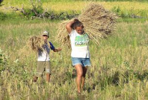 CRA analisa incentivo à produção de biocombustíveis da agricultura familiar — Senado Notícias