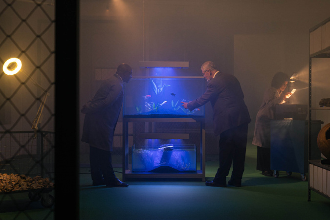 Museu Paranaense divulga resultado final do edital de ocupação do Espaço Vitrine