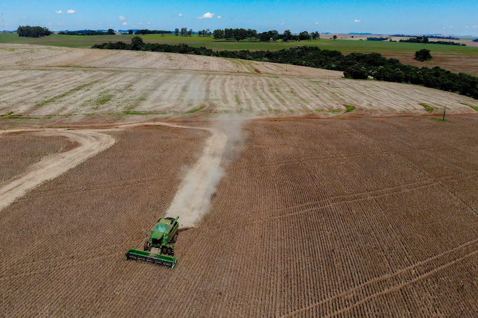 Paraná deve colher 646 mil toneladas de feijão, 34% a mais que em 2023