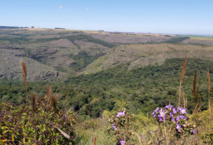 Paraná tem 55 mil hectares em Reservas Particulares de Patrimônio Natural