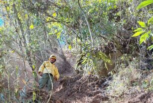 Após oito dias, incêndio no Parque Nacional do Itatiaia é extinto