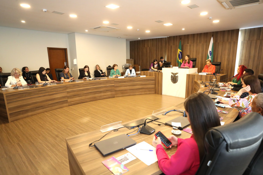 Reunião aconteceu na manhã desta terça-feira (18), no Auditório Legislativo.