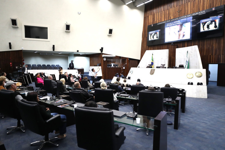 O workshop aconteceu no Plenário da Assembleia na tarde desta quinta-feira (27).