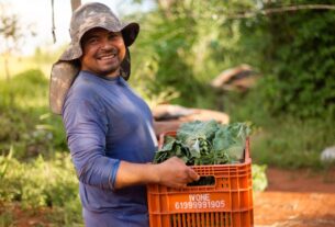 Consea comemora avanços no Plano Nacional de Abastecimento Alimentar — Agência Gov