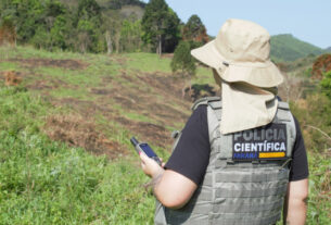 Polícia Científica já concluiu mais de mil requisições de perícia para crimes ambientais