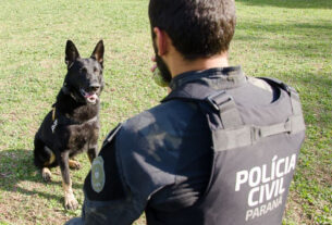 Polícia Civil do Paraná promoverá ações em alusão ao Junho Branco