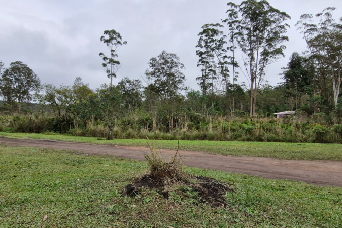 Programa de controle das espécies exóticas chega à Floresta Estadual Metropolitana