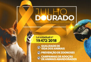 Assembleia Legislativa do Paraná | Notícias > Julho Dourado alerta tutores sobre cuidados com os pets