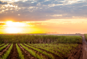 Como será o clima no Brasil em julho? — Agência Gov