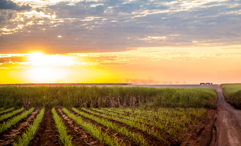 Como será o clima no Brasil em julho? — Agência Gov