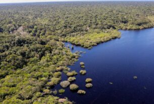 Criação do Museu das Amazônias é lançada em Belém