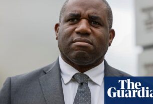 David Lammy deve sinalizar como o Reino Unido se reconectará com o mundo | Eleições gerais de 2024