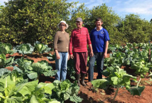 Dia da Agricultura Familiar: IDR-PR fez 155 mil atendimentos a produtores em sete meses