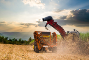 Exportações do agronegócio atingem US$ 15,20 bi em junho e US$ 82,39 bi no semestre — Agência Gov