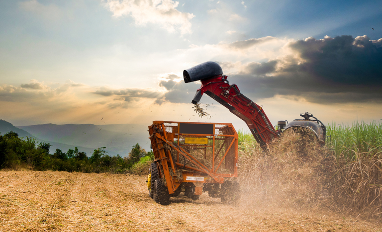 Exportações do agronegócio atingem US$ 15,20 bi em junho e US$ 82,39 bi no semestre — Agência Gov