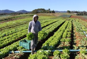 Fundo Garantidor transforma realidade da Agricultura Familiar — Agência Gov