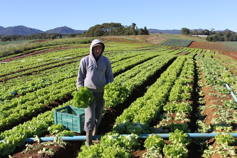 Fundo Garantidor transforma realidade da Agricultura Familiar — Agência Gov