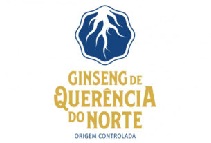 Ginseng de Querência do Norte protocola pedido de reconhecimento com Indicação Geográfica | ASN Paraná