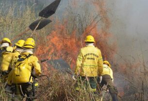 Governo Federal destina mais R$ 137 milhões para combate a incêndios no Pantanal — Agência Gov