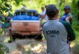 Instituto Chico Mendes anuncia concurso com 180 vagas e cria comissão de acompanhamento — Agência Gov