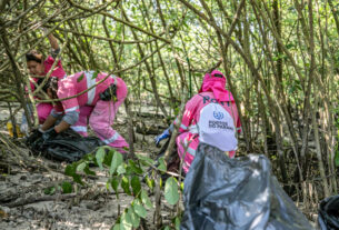 Mutirão de limpeza nos manguezais de Paranaguá recolhe 615 quilos de resíduos